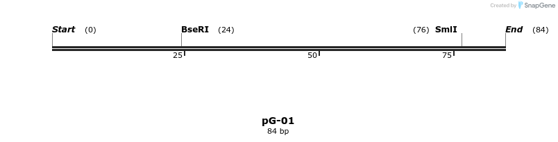 324742_map