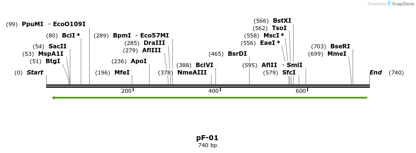 324743_map
