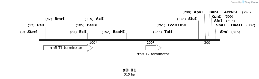 324745_map