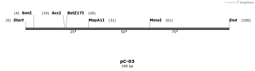 324749_map