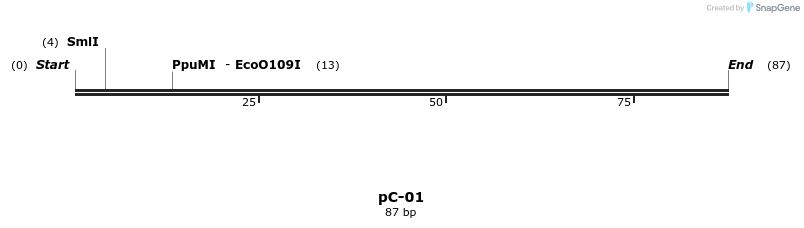 324751_map
