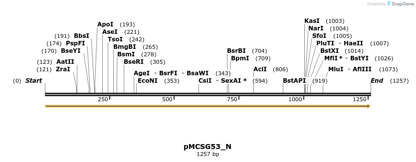 324808_map