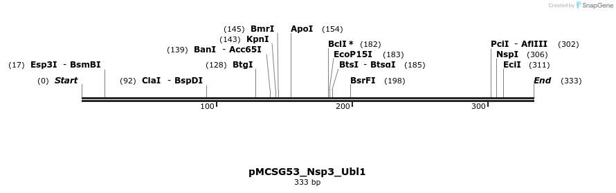 324810_map
