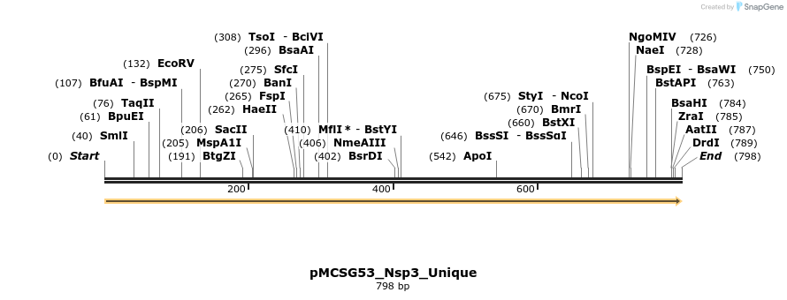 324811_map