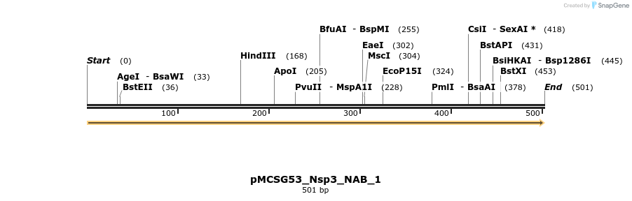 324812_map