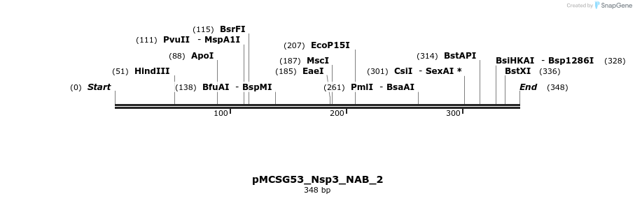 324813_map