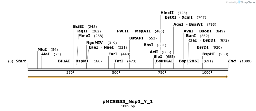 324814_map