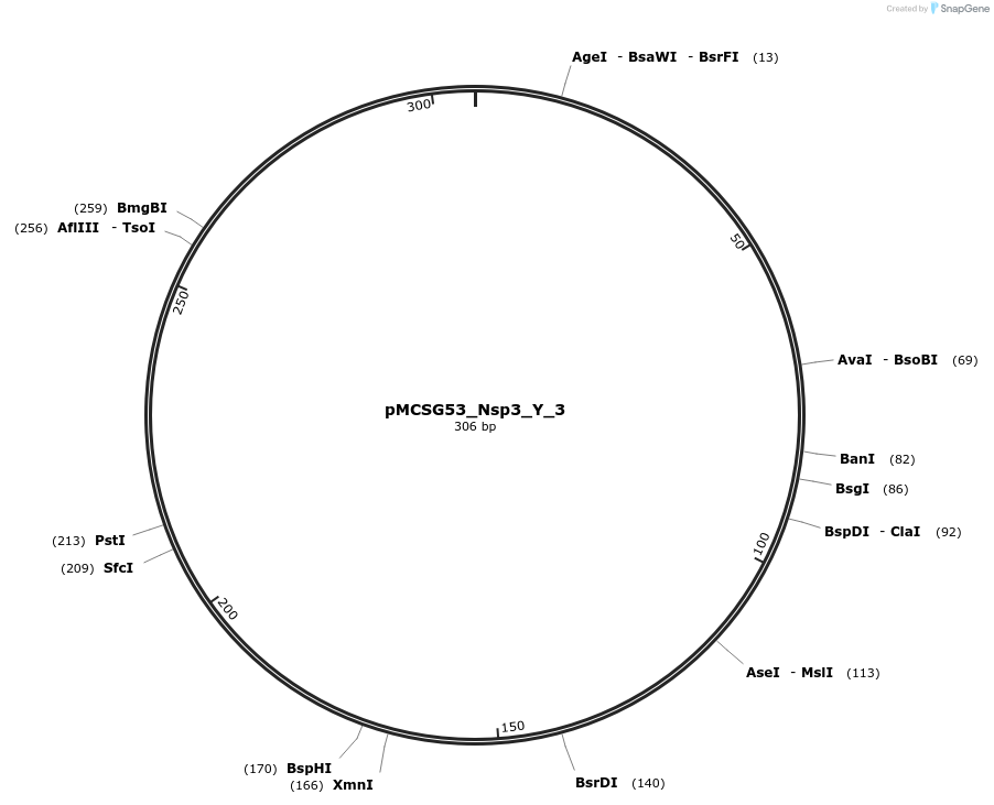 324816_map
