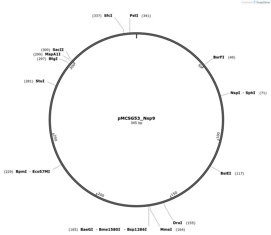 324817_map