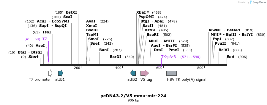 32487_map