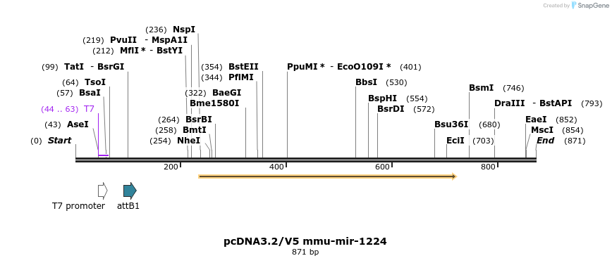 32490_map