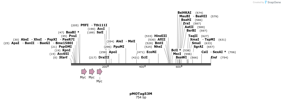 32501_map