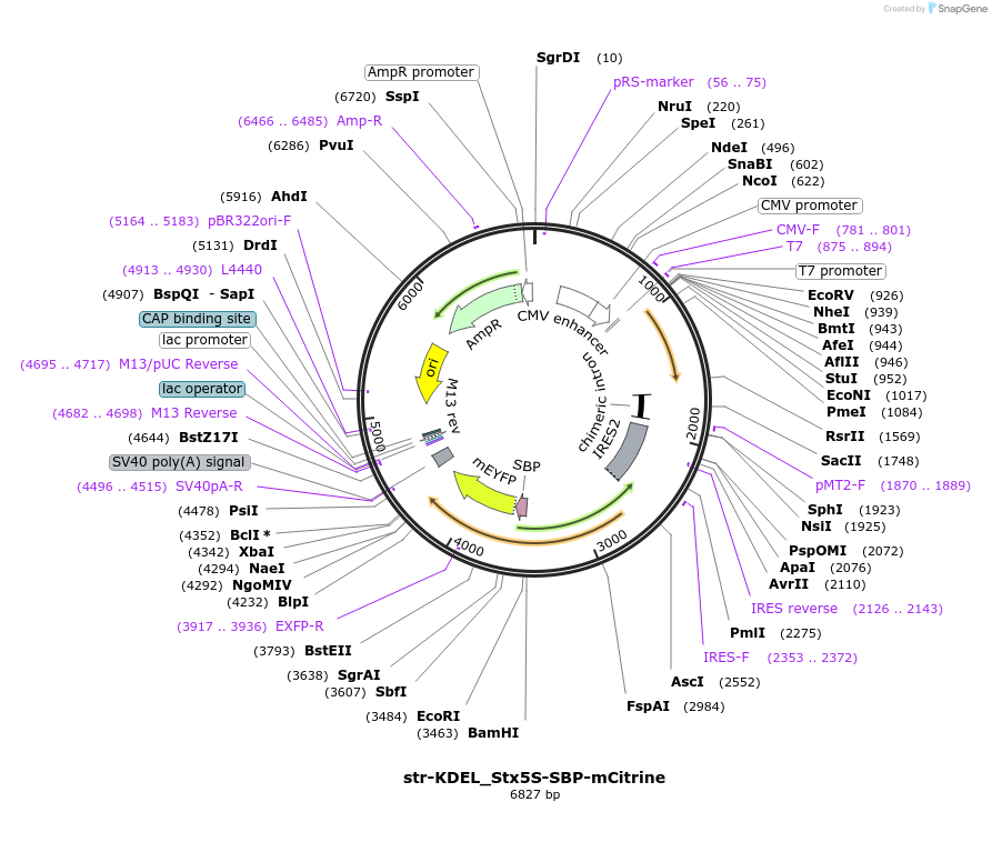 325019_map
