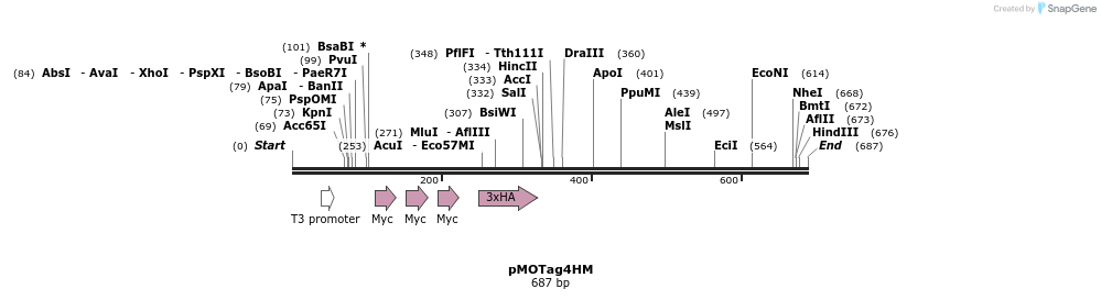 32502_map