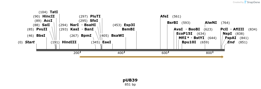 32504_map