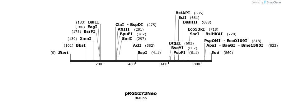 32505_map
