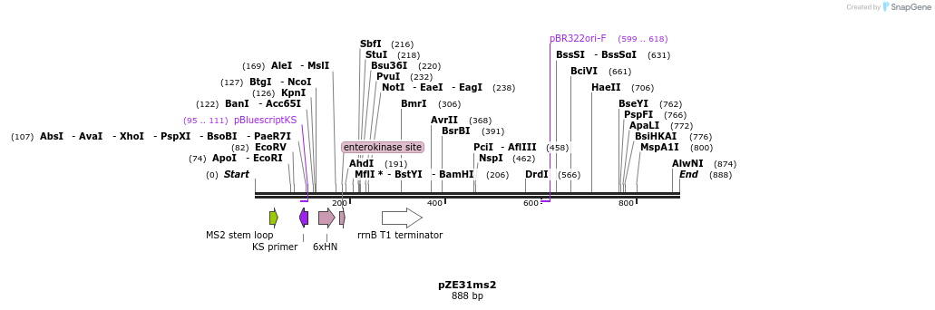 32507_map