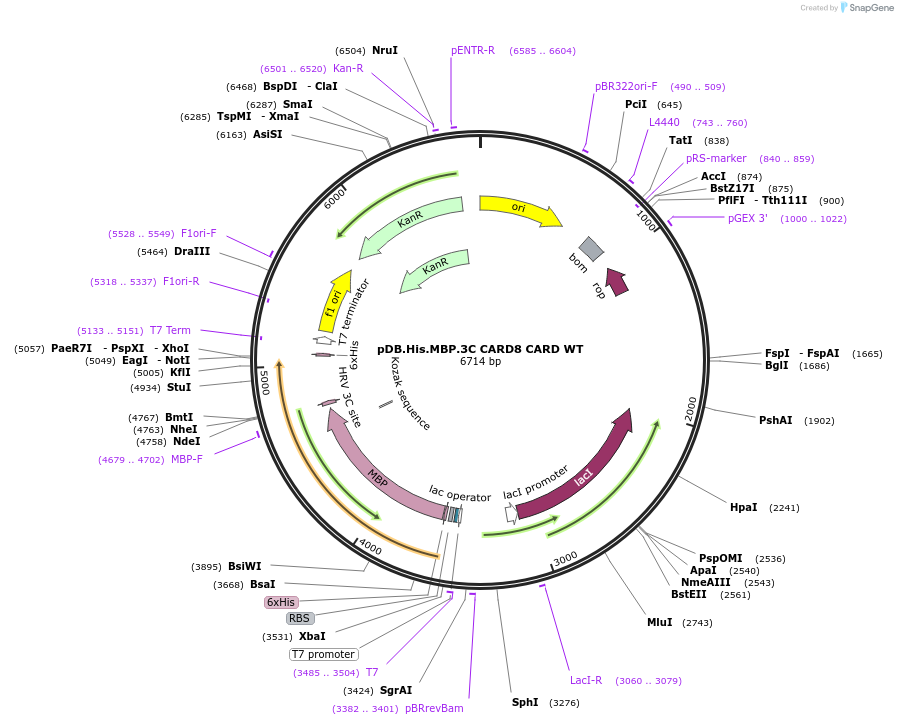 325102_map