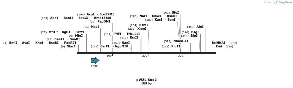 32511_map
