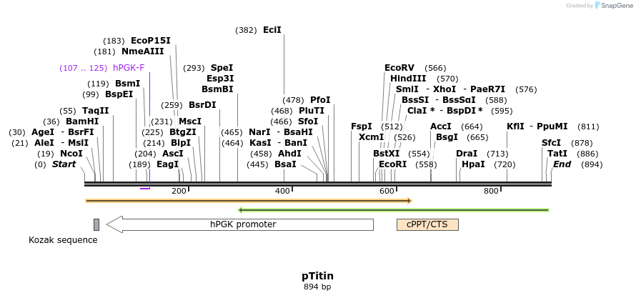 32515_map