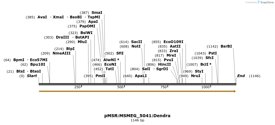 325191_map