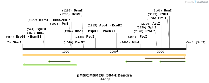 325192_map