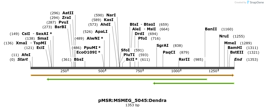 325193_map