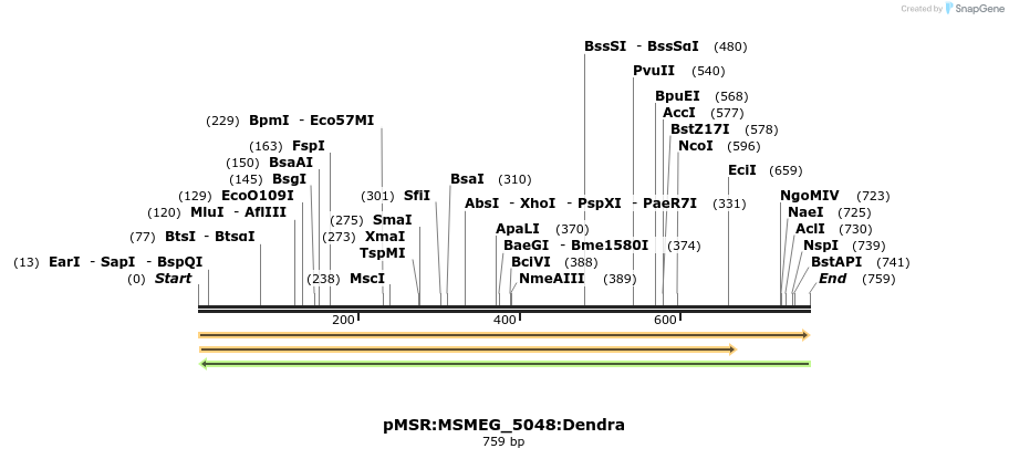 325194_map