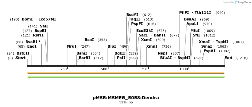 325197_map