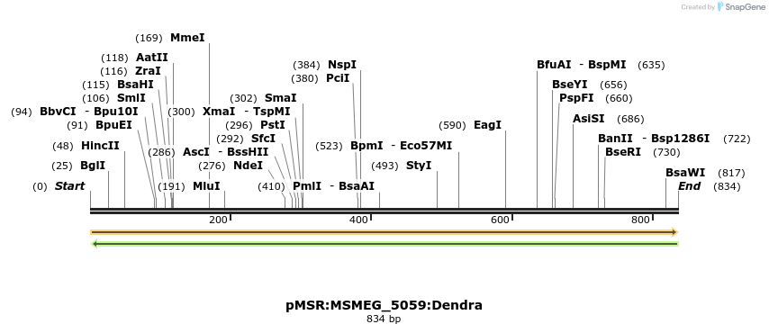 325198_map