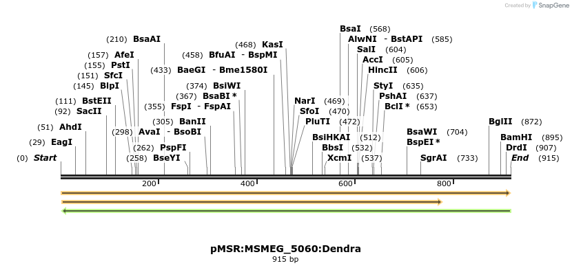 325199_map