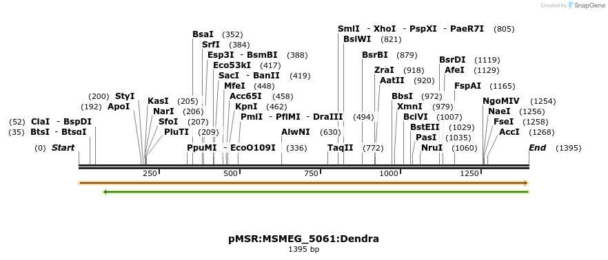 325200_map
