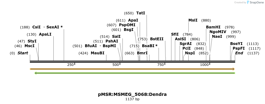 325201_map