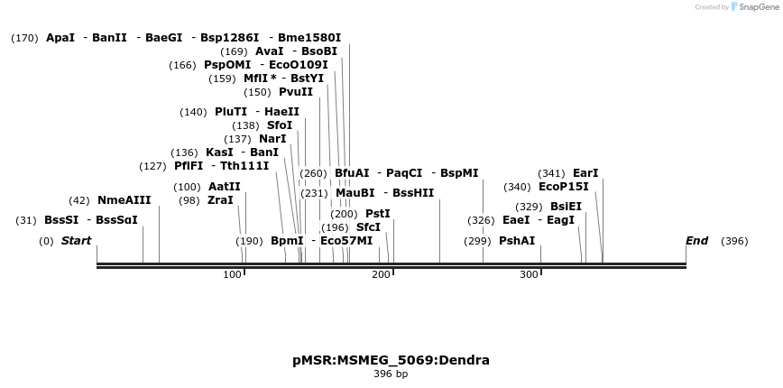 325202_map