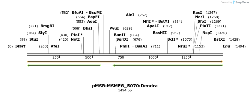 325203_map