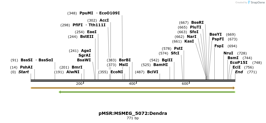 325205_map