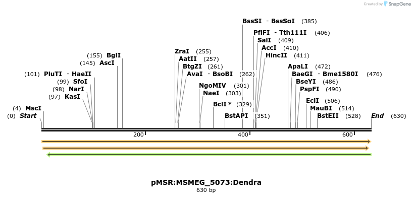 325206_map