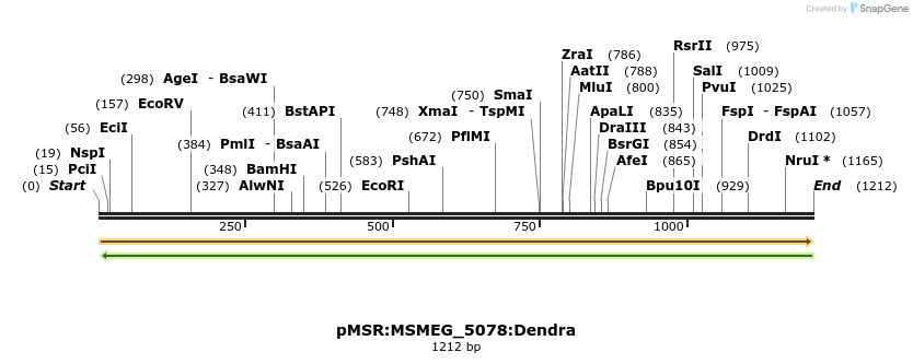 325207_map