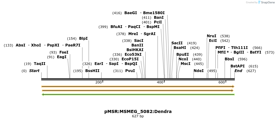 325209_map