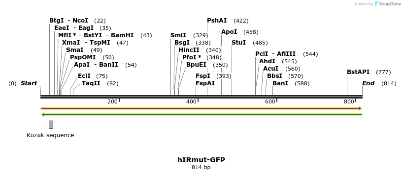 32521_map