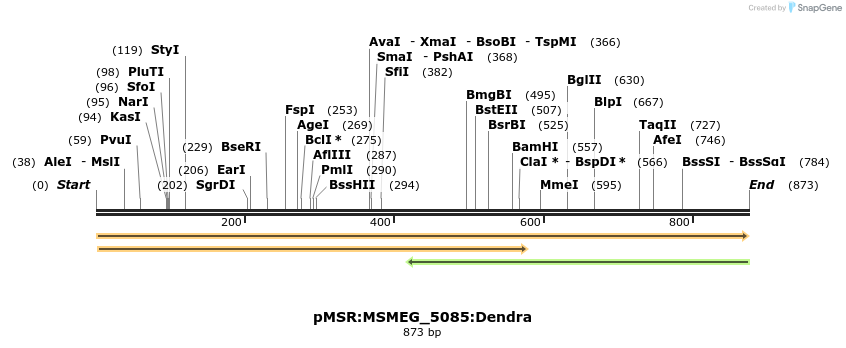 325211_map