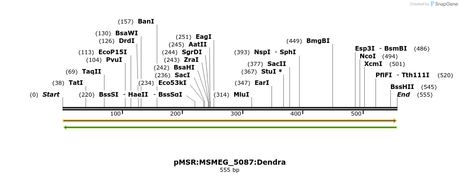 325212_map