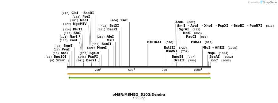 325213_map