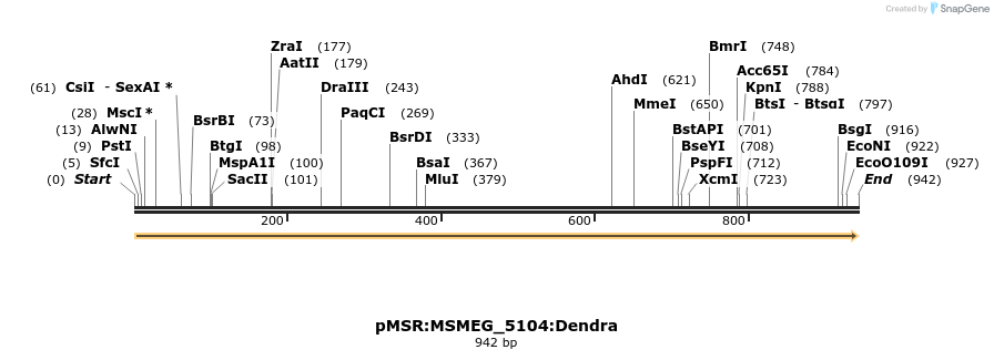 325214_map