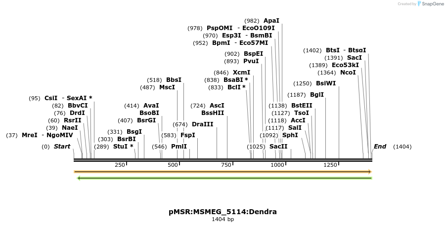 325215_map
