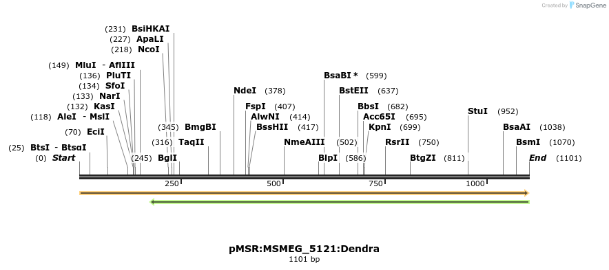 325216_map