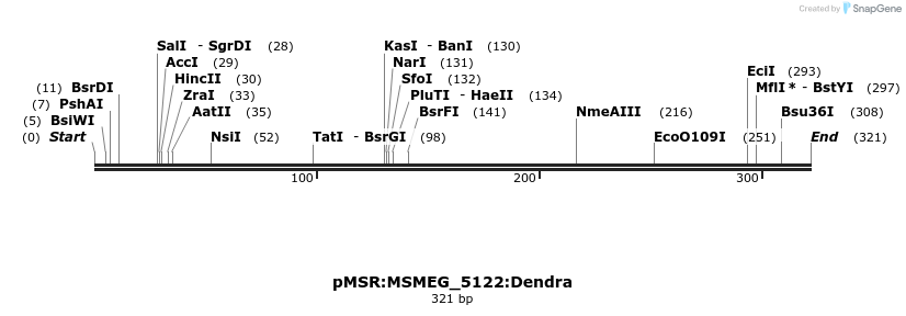 325217_map
