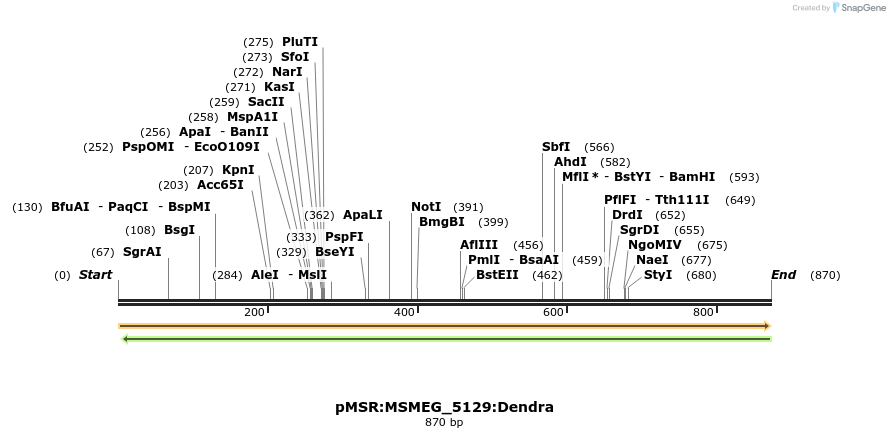 325219_map