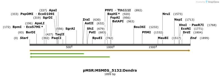 325221_map