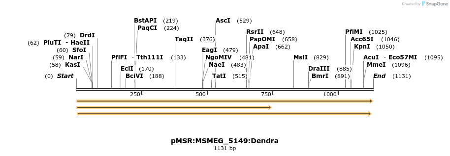 325222_map